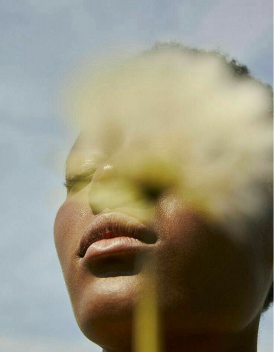 Meditation & Mindfulness